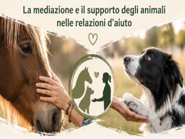Immagine coso AIAS Monza-600x450
